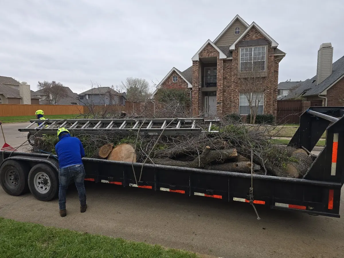 Expert Lot Clearing with proper safety equipment in Stevensburg